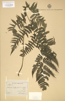LE 01000178