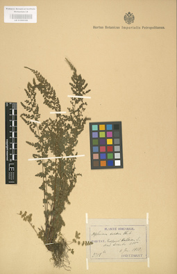 LE 01000188
