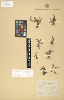 LE 01000192