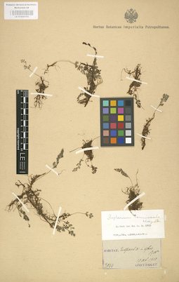 LE 01000193