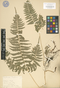 LE 01000198