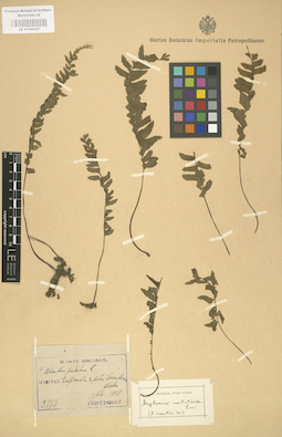 LE 01000201