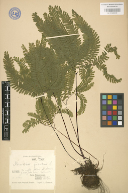 LE 01000242