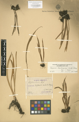LE 01000275