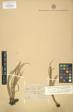 LE 01000279