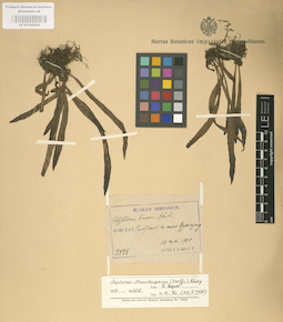 LE 01000282