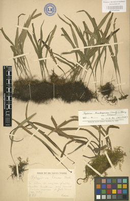 LE 01000284