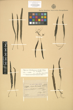 LE 01000287