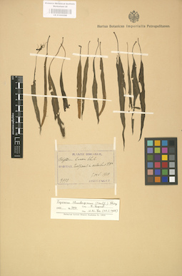 LE 01000288