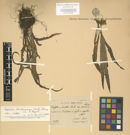LE 01000289
