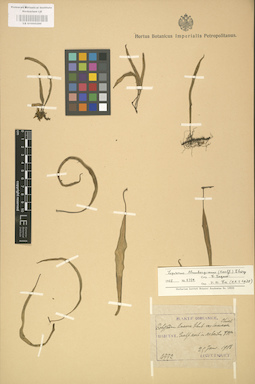LE 01000290