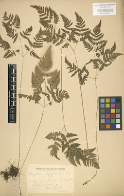 LE 01000298