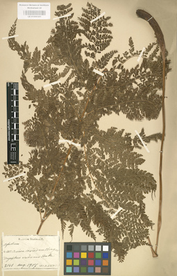 LE 01000301