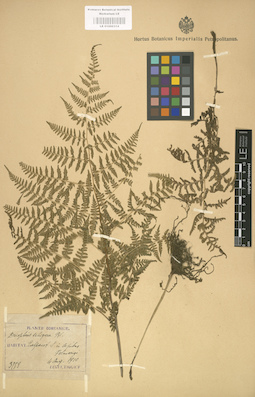 LE 01000314