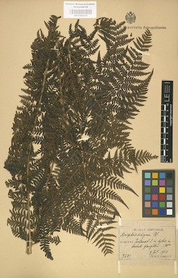 LE 01000315