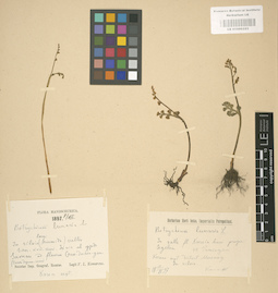 LE 01000323