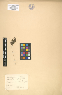 LE 01000326