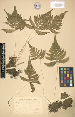 LE 01000327