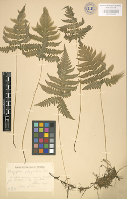 LE 01000328