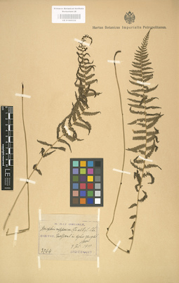 LE 01000332