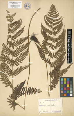 LE 01000340