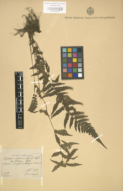 LE 01000347
