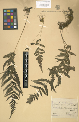 LE 01000349