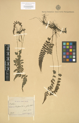 LE 01000350
