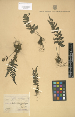 LE 01000351
