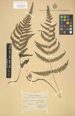 LE 01000353