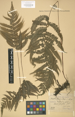 LE 01000356