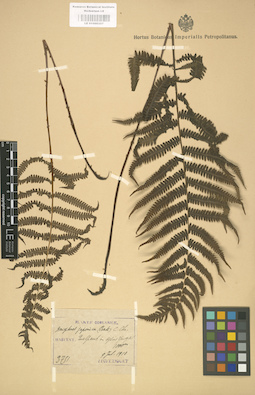 LE 01000357