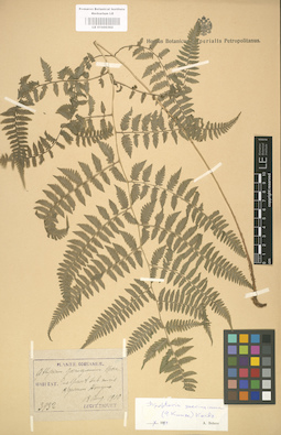 LE 01000362