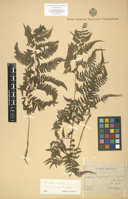 LE 01000363