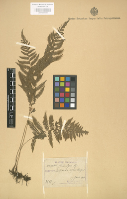 LE 01000366