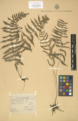 LE 01000367