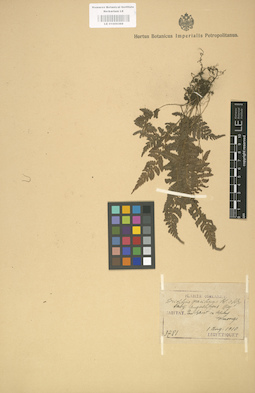 LE 01000369