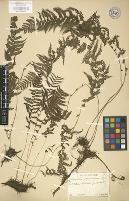LE 01000370