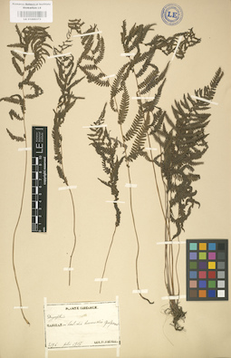 LE 01000372