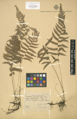 LE 01000373