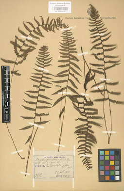 LE 01000374