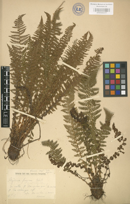 LE 01000377