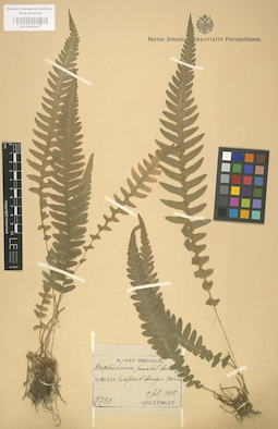 LE 01000417