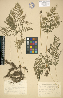 LE 01000457