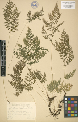 LE 01000458