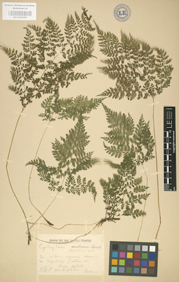 LE 01000459