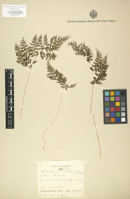 LE 01000461