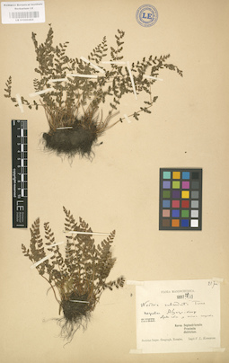 LE 01000464