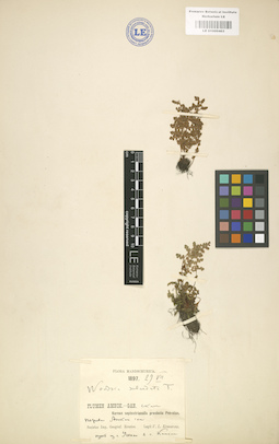 LE 01000465