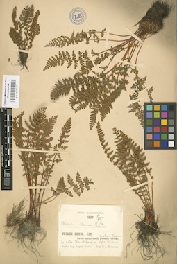LE 01000477